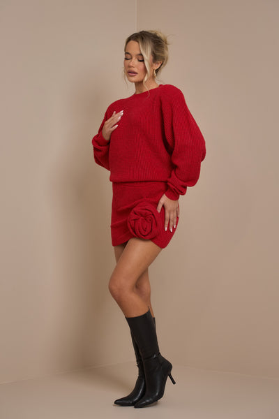 LAROSA PREMIUM KNIT SKIRT | ROUGE